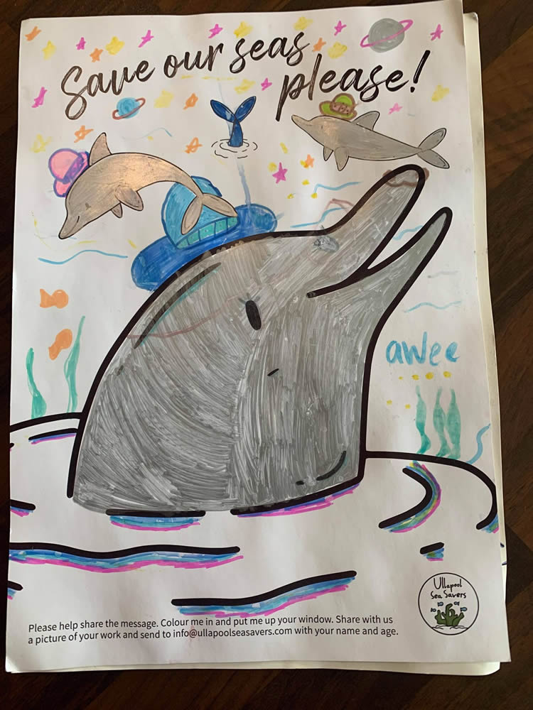 Ullapool Sea Savers: Join their dolphin awareness campaign and poster competition